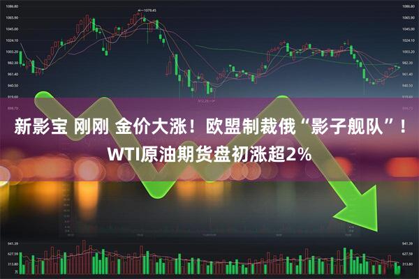 新影宝 刚刚 金价大涨！欧盟制裁俄“影子舰队”！WTI原油期货盘初涨超2%