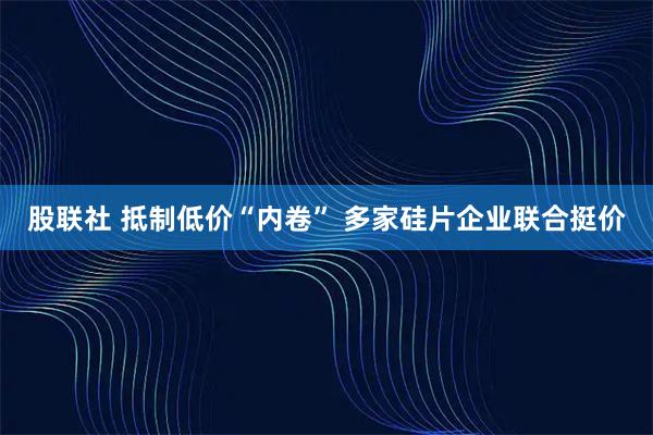 股联社 抵制低价“内卷” 多家硅片企业联合挺价