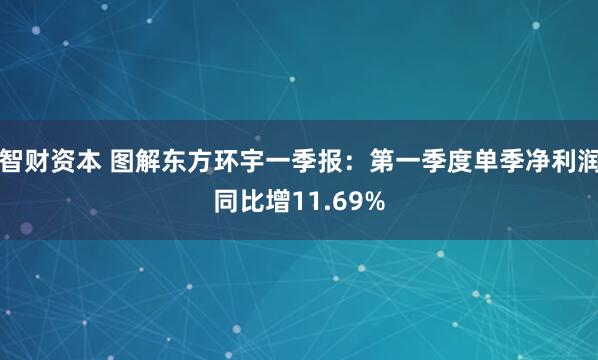 智财资本 图解东方环宇一季报：第一季度单季净利润同比增11.69%