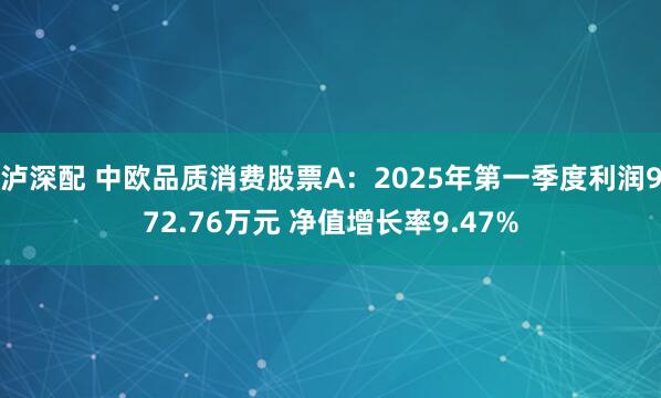泸深配 中欧品质消费股票A：2025年第一季度利润972.76万元 净值增长率9.47%