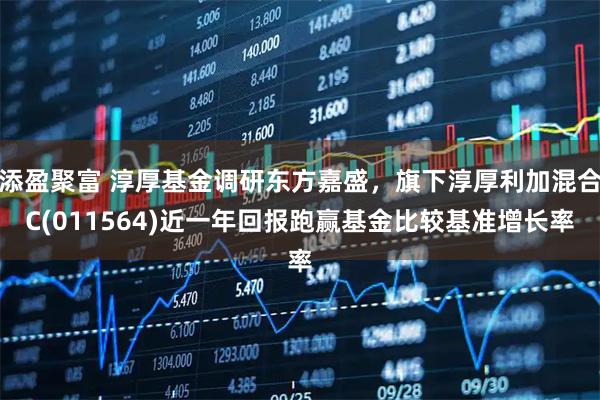 添盈聚富 淳厚基金调研东方嘉盛，旗下淳厚利加混合C(011564)近一年回报跑赢基金比较基准增长率