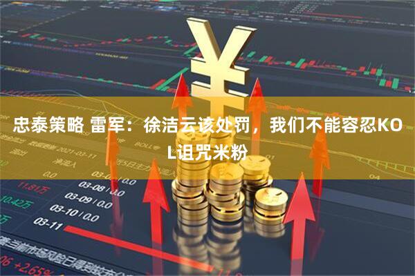 忠泰策略 雷军：徐洁云该处罚，我们不能容忍KOL诅咒米粉