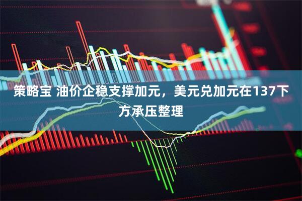 策略宝 油价企稳支撑加元,美元兑加元在137下方承压整理
