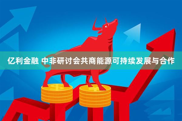 亿利金融 中非研讨会共商能源可持续发展与合作