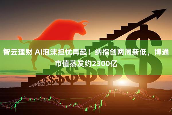 智云理财 AI泡沫担忧再起！纳指创两周新低，博通市值蒸发约2300亿