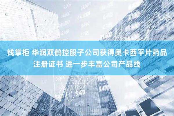钱掌柜 华润双鹤控股子公司获得奥卡西平片药品注册证书 进一步丰富公司产品线