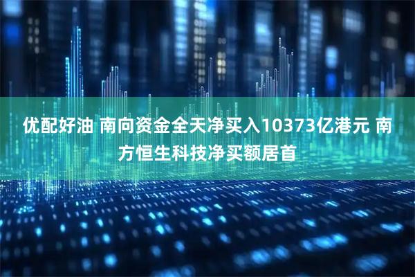 优配好油 南向资金全天净买入10373亿港元 南方恒生科技净买额居首