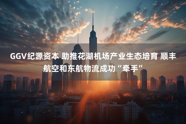 GGV纪源资本 助推花湖机场产业生态培育 顺丰航空和东航物流成功“牵手”